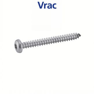 Vis tôle tête cylindrique Torx