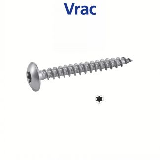 Vis agglo penture tête cylindrique Torx