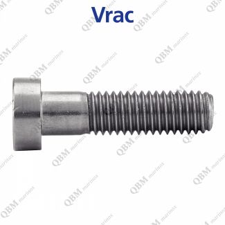 Vis m&eacute;taux t&ecirc;te cylindrique r&eacute;duite six pans creux avec tou de guidage