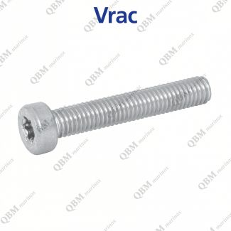 Vis m&eacute;taux t&ecirc;te cylindrique basse six lobes