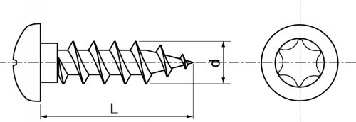 Vis agglo tête cylindrique Torx