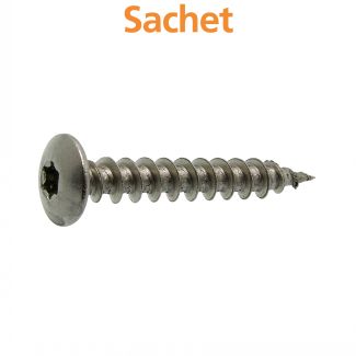 Vis agglo penture tête cylindrique Torx