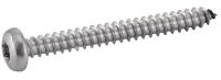 Vis tôle tête cylindrique Torx
