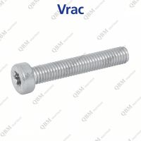 Vis m&eacute;taux t&ecirc;te cylindrique basse six lobes