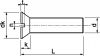 Plan d'ensemble